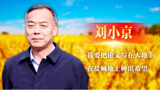 1737352767114464.png image.png